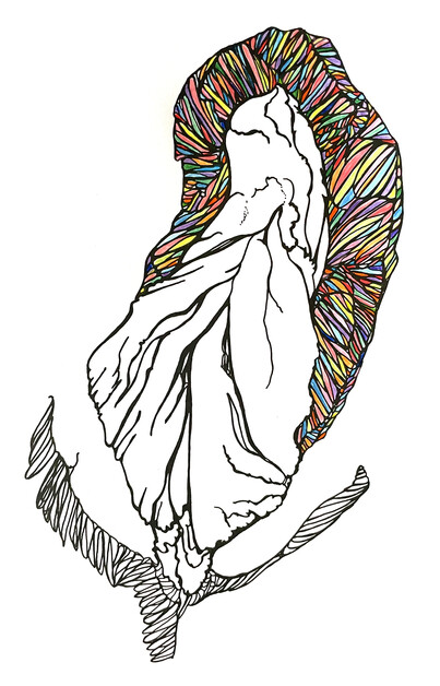 Fig. 5 image